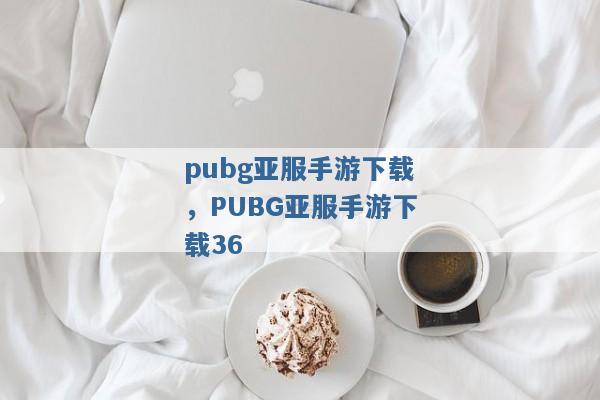 pubg亚服手游下载，PUBG亚服手游下载36