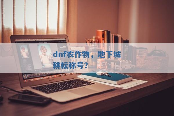 dnf农作物，地下城耕耘称号？